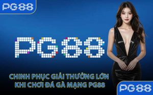 Chinh Phục Giải Thưởng Lớn Khi Chơi Đá Gà Mạng PG88