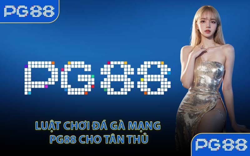 Luật Chơi Đá Gà Mạng PG88 Cho Tân Thủ